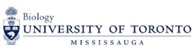 3rd Year University UTM