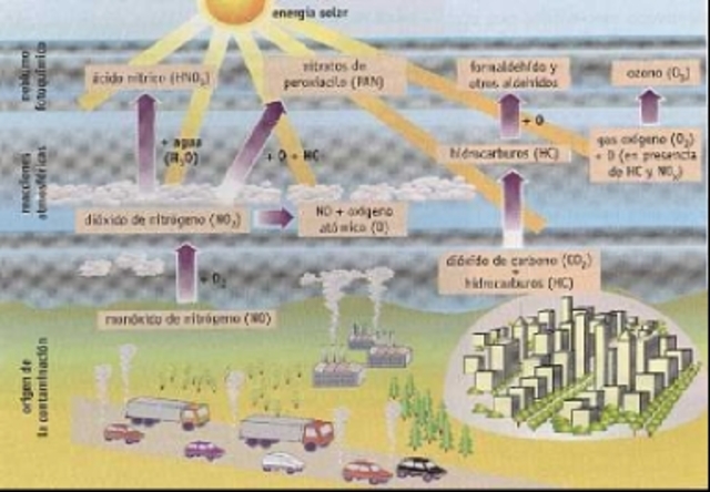 precursores organicos