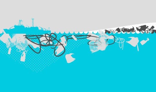 Many fishes in the North Pacific eat up