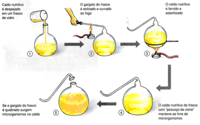 Experimento generacion espontanea Louis Pasteur