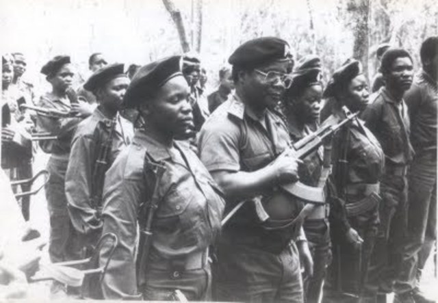 Mozambican civil war started