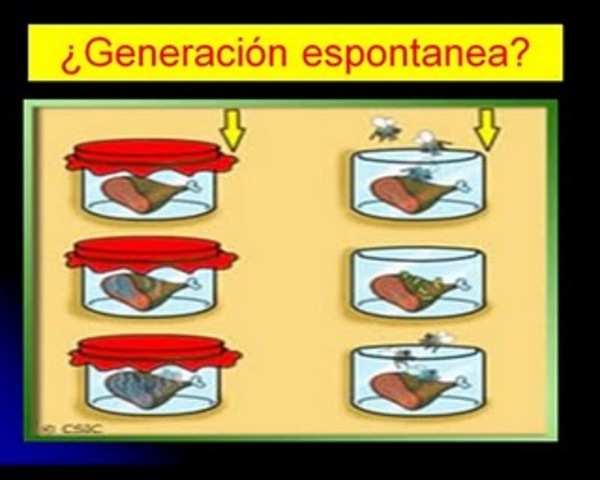 La generación espontánea