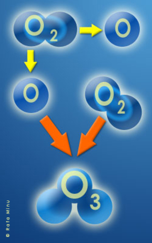 Origen de los precursores orgánicos