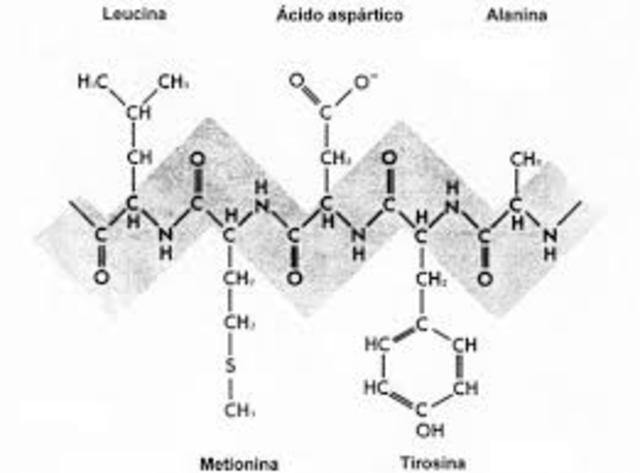 ORIGEN DE LOS PRECURSORES OGRÁNICOS