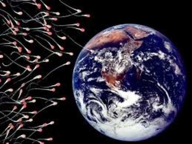 Origen de los percursores organicos