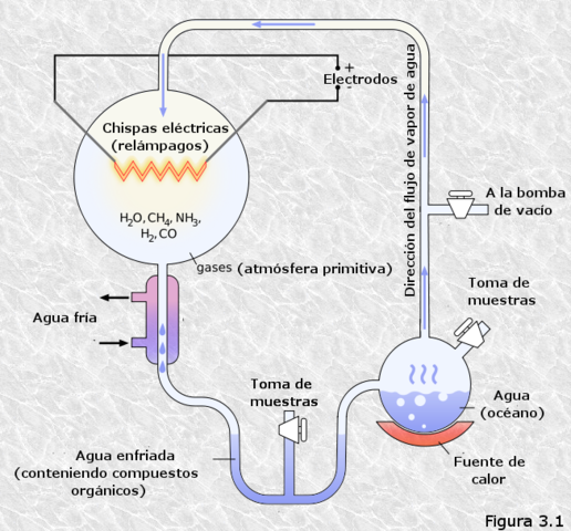 ORIGEN DE LA BIOMOLECULAR
