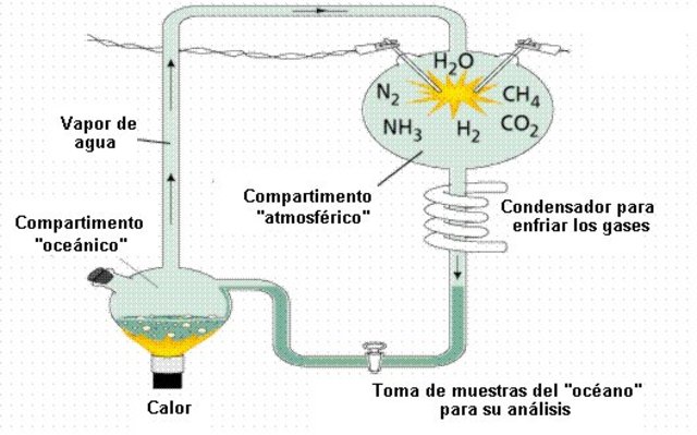 ORIGEN DE LOS PRECURSORES ORGÁNICOS