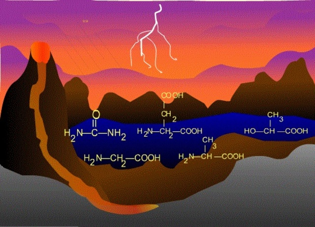 origen de las biomoleculas