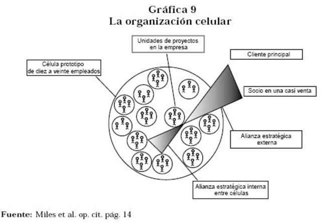 origen de la organizacion celular