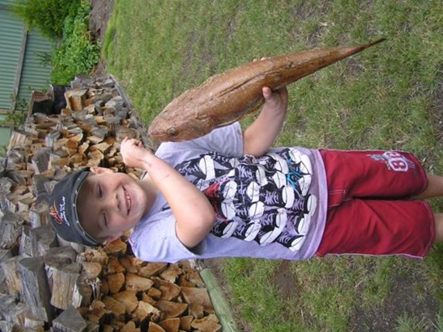 Caught my first fish