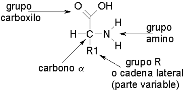 Origen de las Biomoleculas