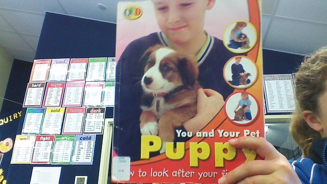 You and your puppy pet