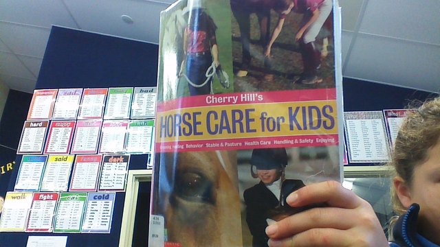 Horse care for kids