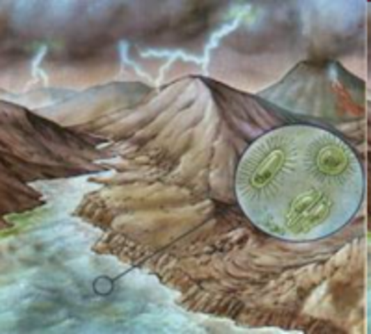 Origen de las biomoleculas