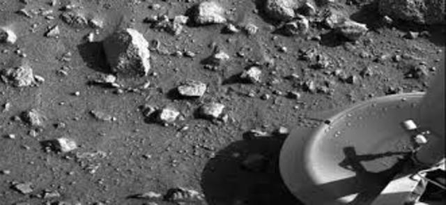 origen de los precursores organico