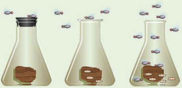 Demostracion de la falsedad del Experimento de Redi