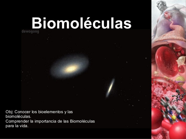 Origen de las Biomoleculas