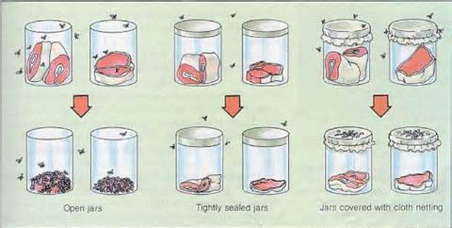 DEMOSTRACIONES DE LA FALSEDAD DE LA GENERACION ESPONTANEA.