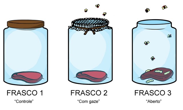 El Experimento de Redi