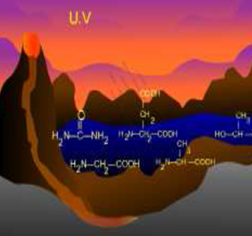 Origen de las biomolecular