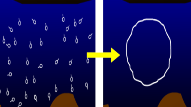 Origen de la organizacion celular