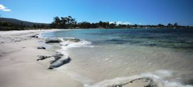 First real Camp in year 3