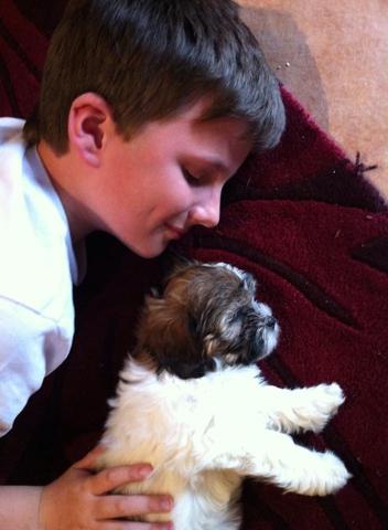 First dog as my own (Daisy)