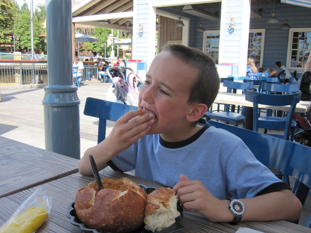 Disenyland Calafornia