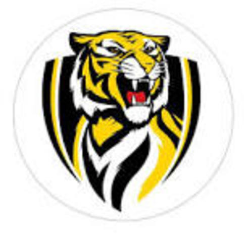 Started going for the Richmond Tigers