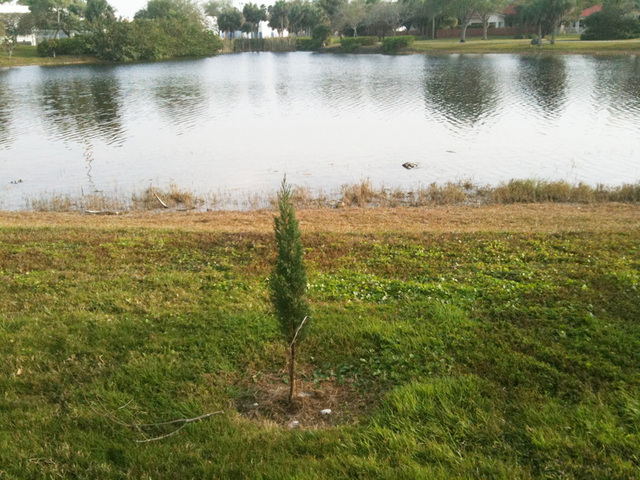 Inicio del Proyecto - Start the proyect