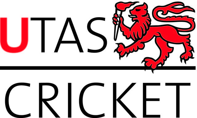 Cricket grand final Under 13's