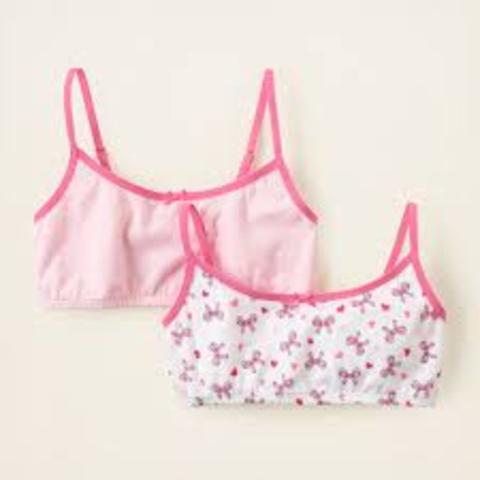 Middle Childhood ~ BIOSOCIAL