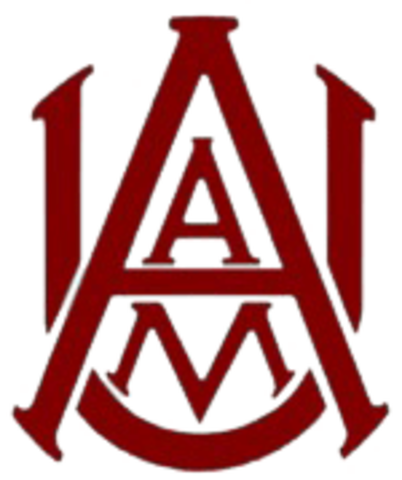 Emerging Adulthood ~ COGNITIVE