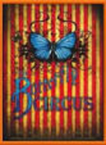ensayo de el circo de las mariposas