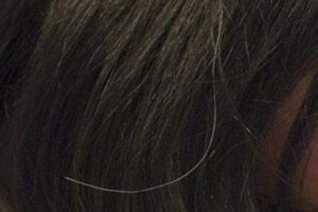 Adulthood ~ BIOSOCIAL