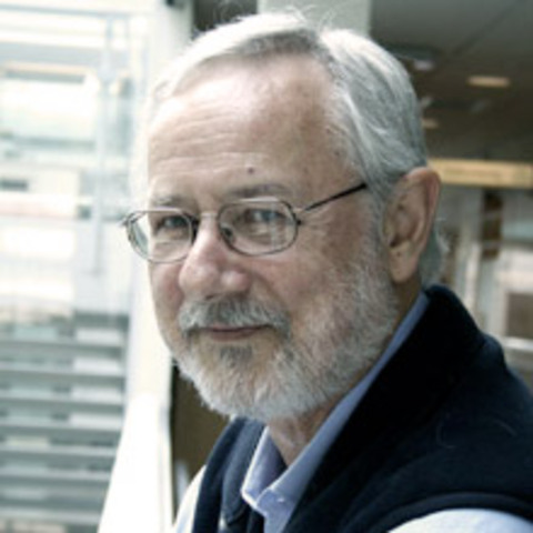 PLURALIDAD DE VALORES PARTE EN EVALUACIÓN