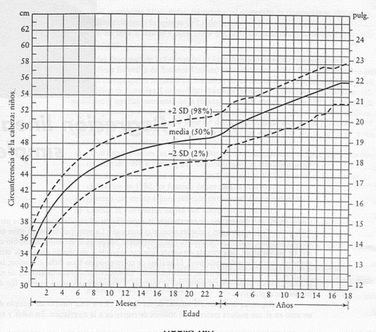 ESTADISTICA INFERENCIAL