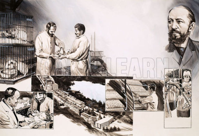 Antibody Responses discovered