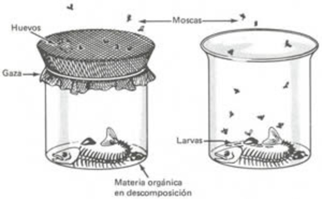 GENERACIÓN ESPONTANEA