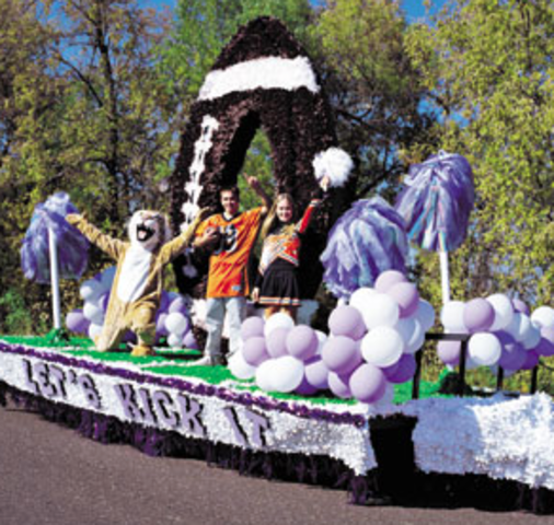 Adolescence - Alcohol