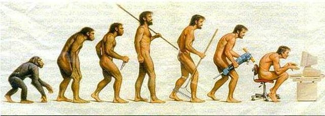 teoria de evolucion del hombre