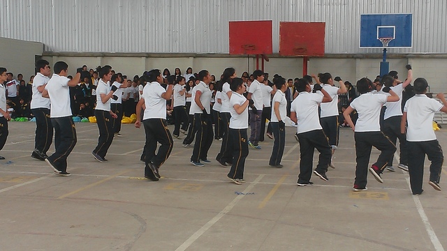 Conoci a la mejor seccion :3