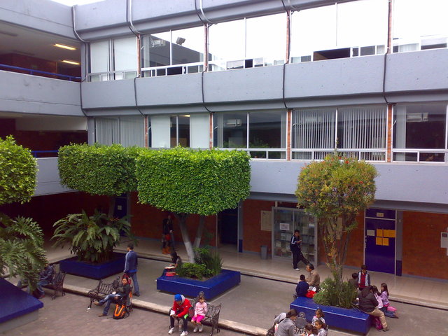 primer año de basico