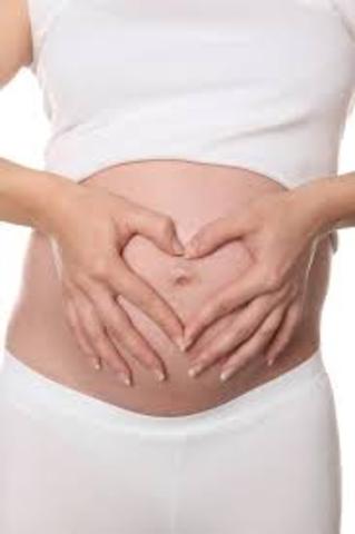 SEGUNDO TRIMESTRE DEL EMBARAZO 1