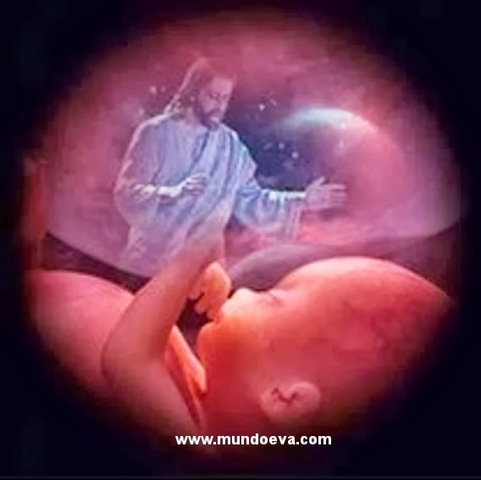 LA VIDA.. EL MAGNÍFICO REGALO DE DIOS