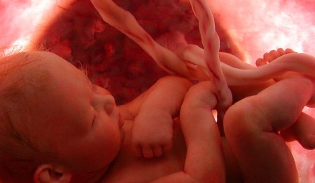 Semana treinta y ocho a la cuarenta