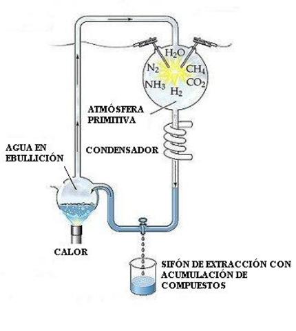 Precursores organicos