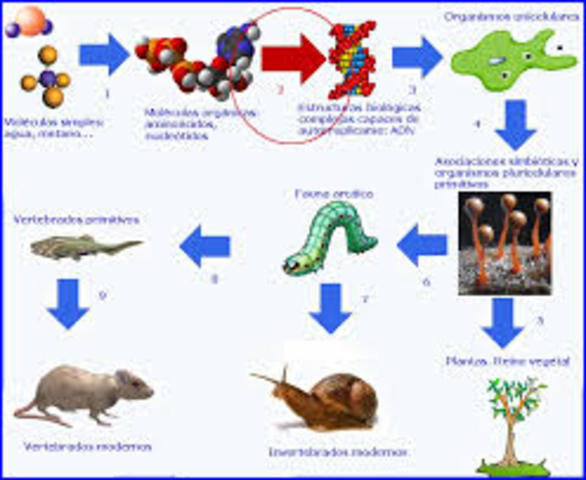 Origen de la biomolelucas