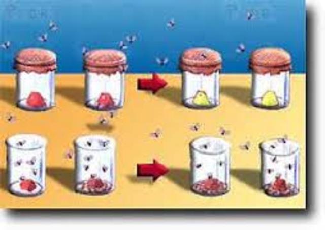 GENERACIÓN ESPONTÁNEA ( SIGLO 4 A.C.)