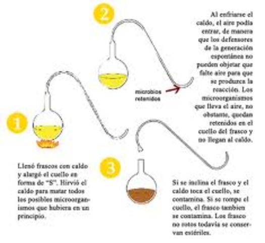 EXPERIMENTODE LOUIS PASTEUR